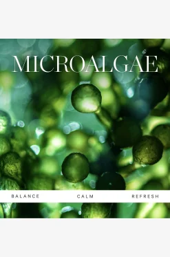 Active Algae Calming Cleansing Balm