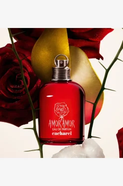 Amor Amor Edp