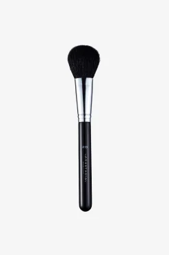 A19 Pro Brush Blush Brush