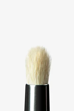 A14 Pro Brush Pencil Brush