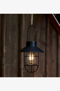 Aurinkokennokoriste Cage 21 cm