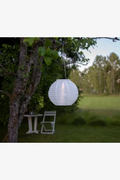 Aurinkokennokoriste Festival 21 cm