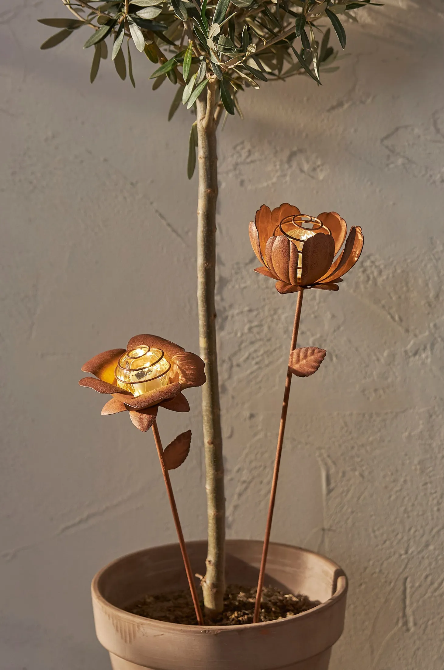 Aurinkokennokoriste Oxida Kukka 2-p