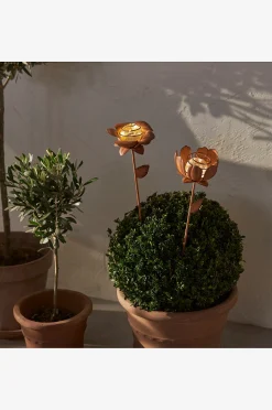Aurinkokennokoriste Oxida Kukka 2-p