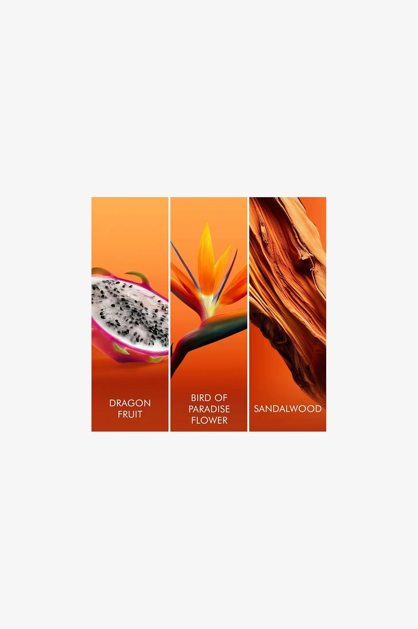 Bali Paradise Edt