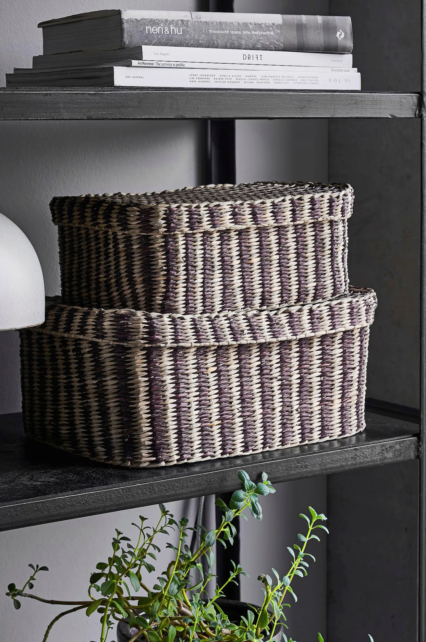 Box, HDShoo, Bruna ränder
