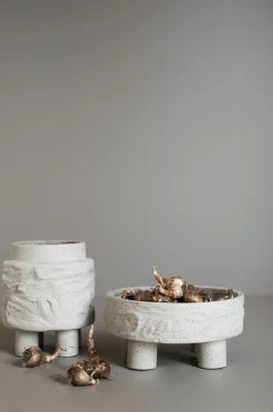 Clay plate