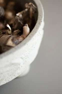 Clay plate