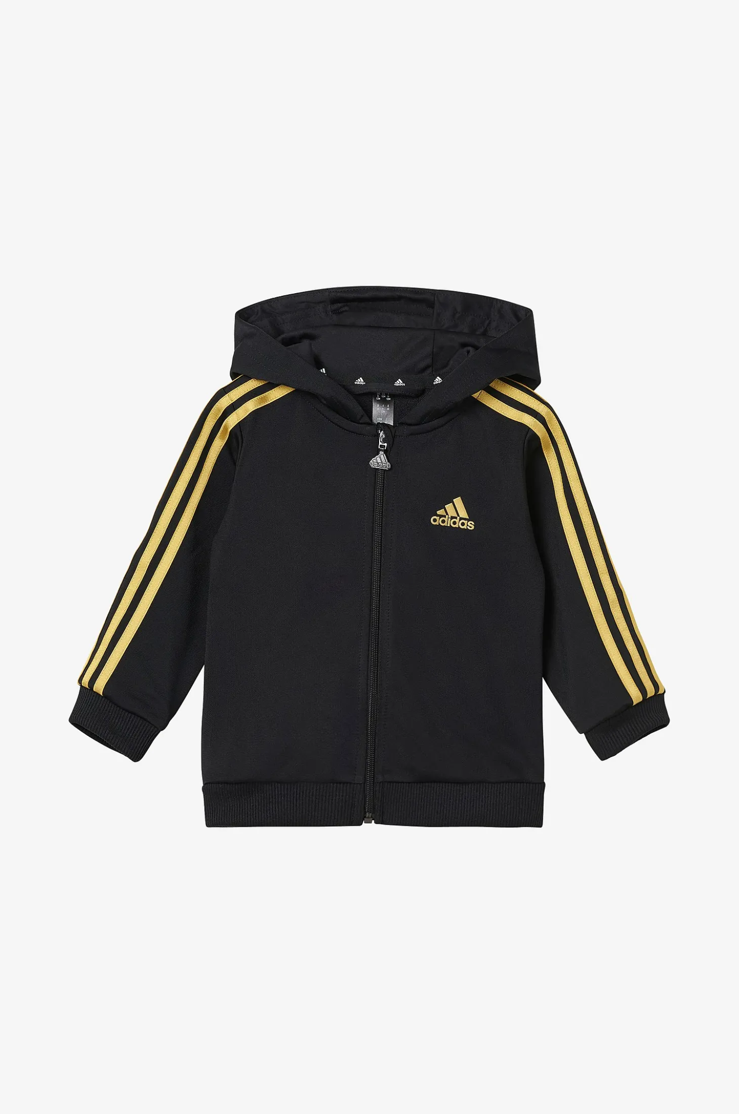 Collegeasu I 3S Shiny TS