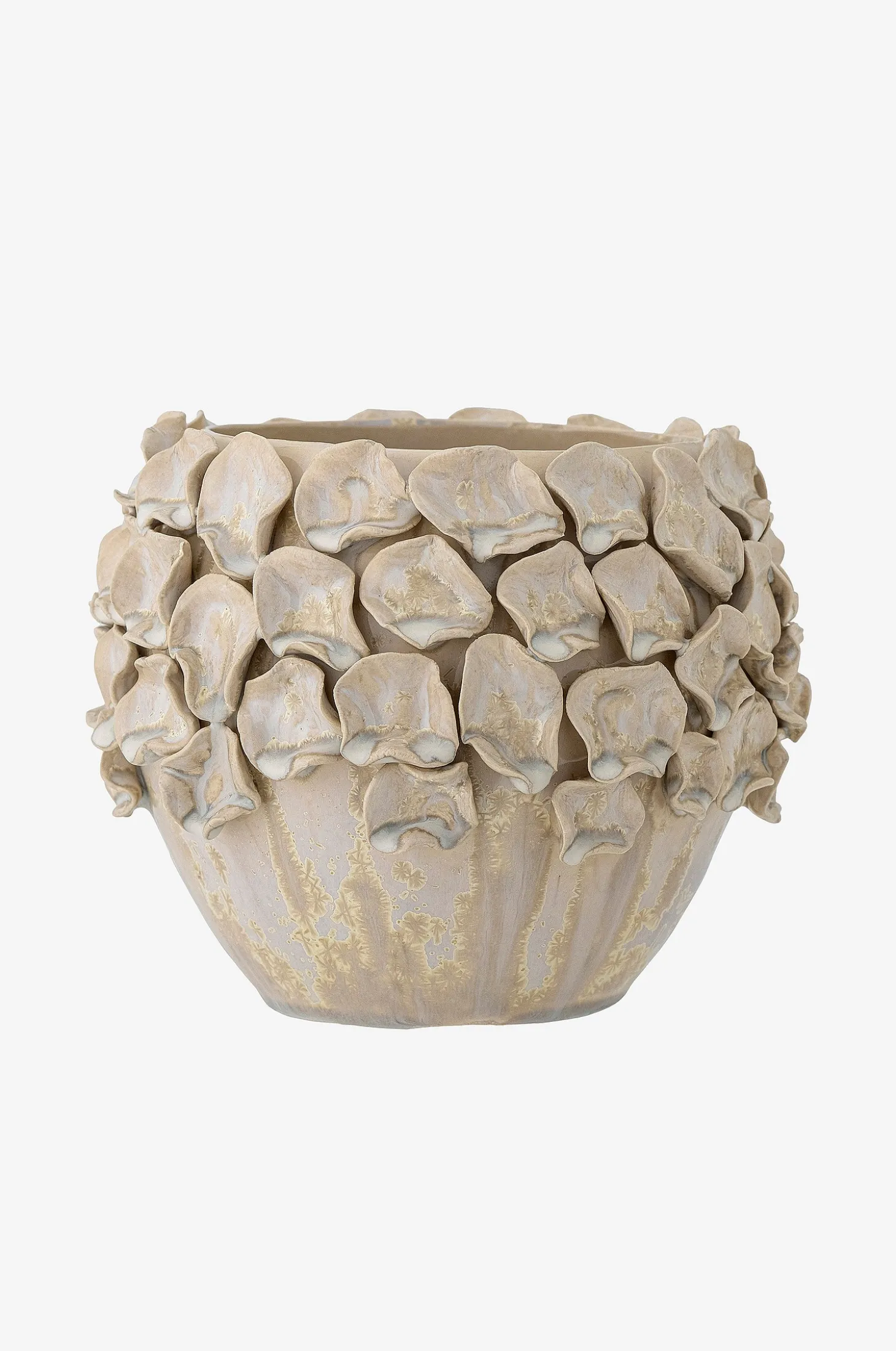 Coral Kukkaruukku