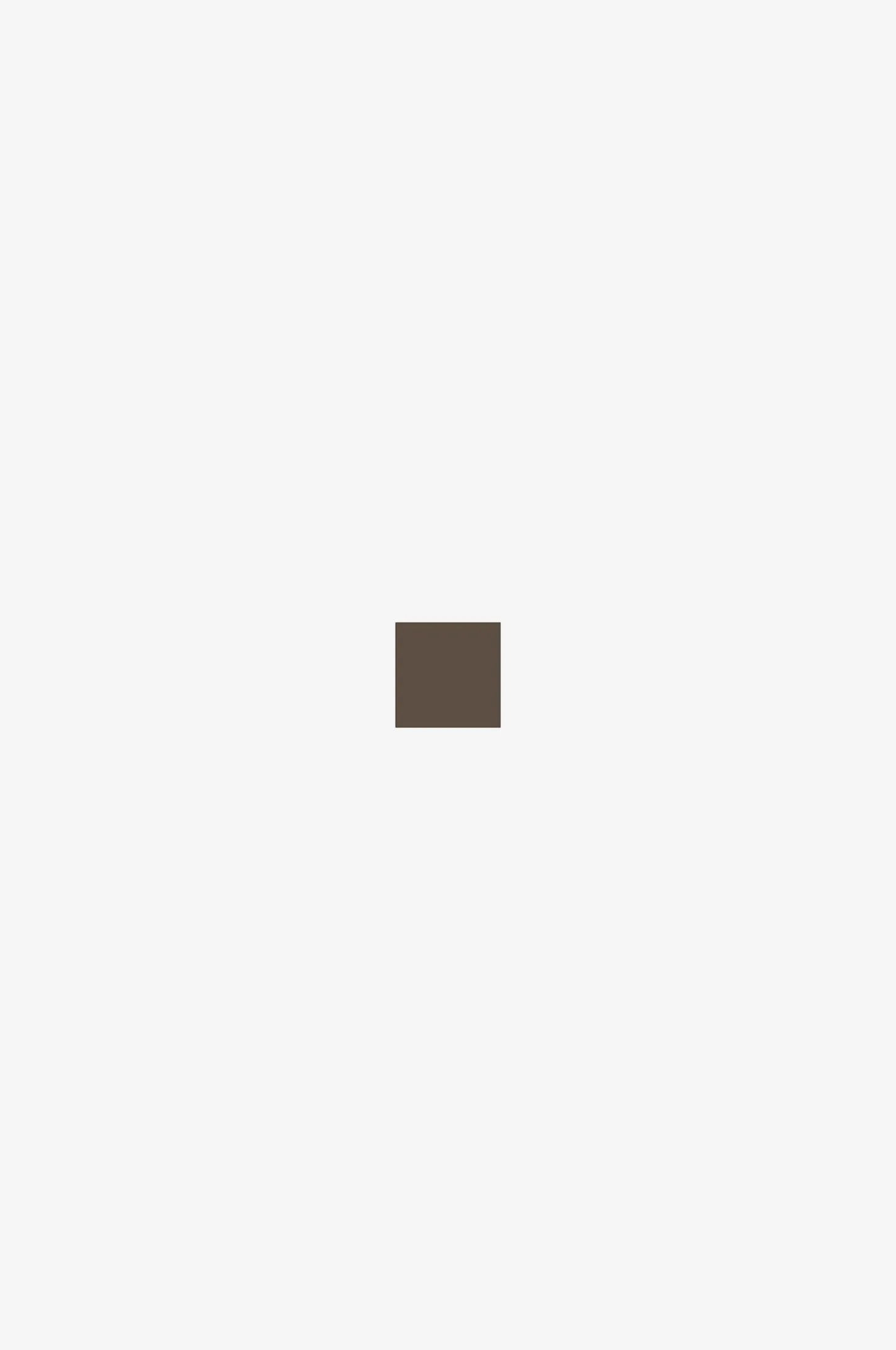 Eyebrow Pencil