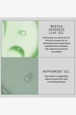 Hair Booster Serum 100 Ml