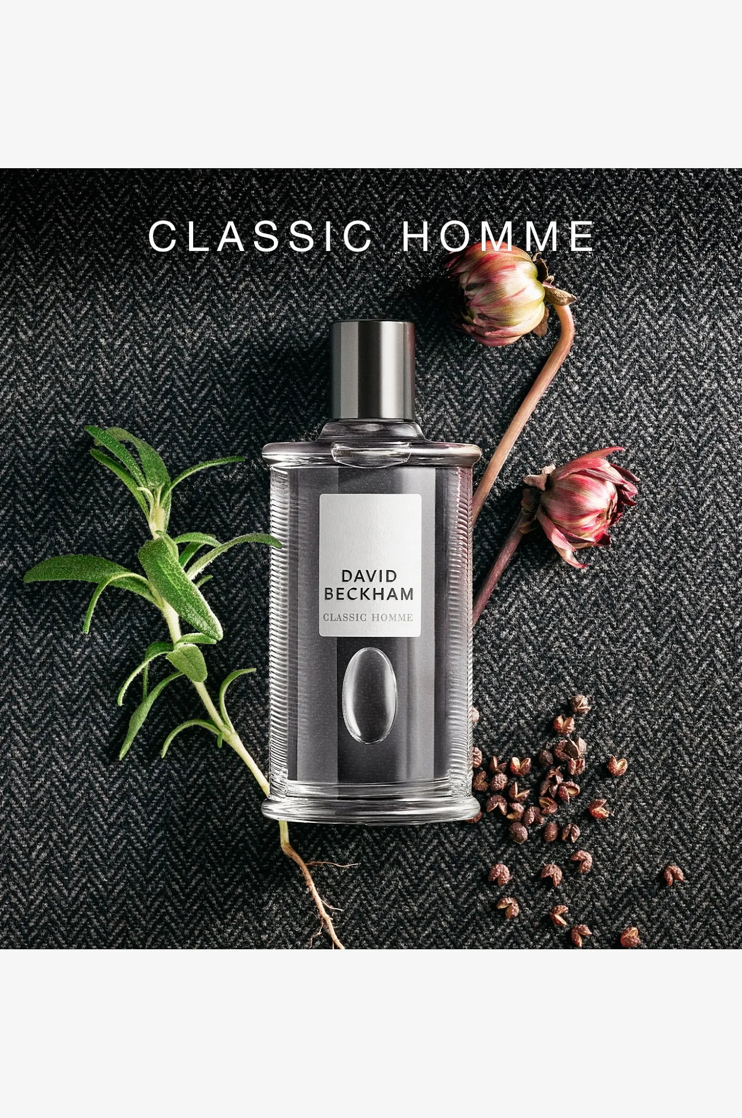 Homme EdT 50 ml