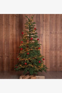 Joulukuusi Edane 210 cm