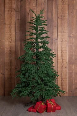 Joulukuusi Edane 210 cm