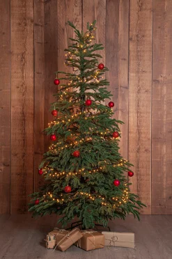 Joulukuusi Edane 210 cm
