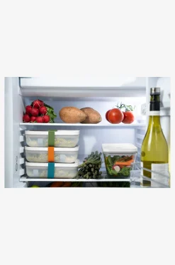 Joustavat nauhat Fresh & Save -laatikoihin, 3/pakk.