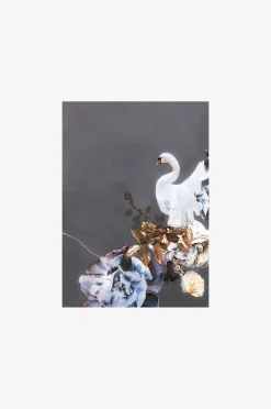 Juliste Swan Gold 1