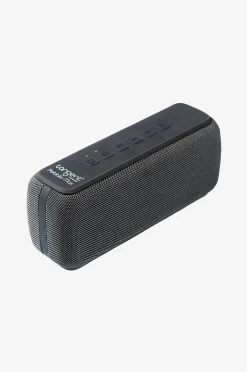 Kaiutin Pebble Max Bluetooth