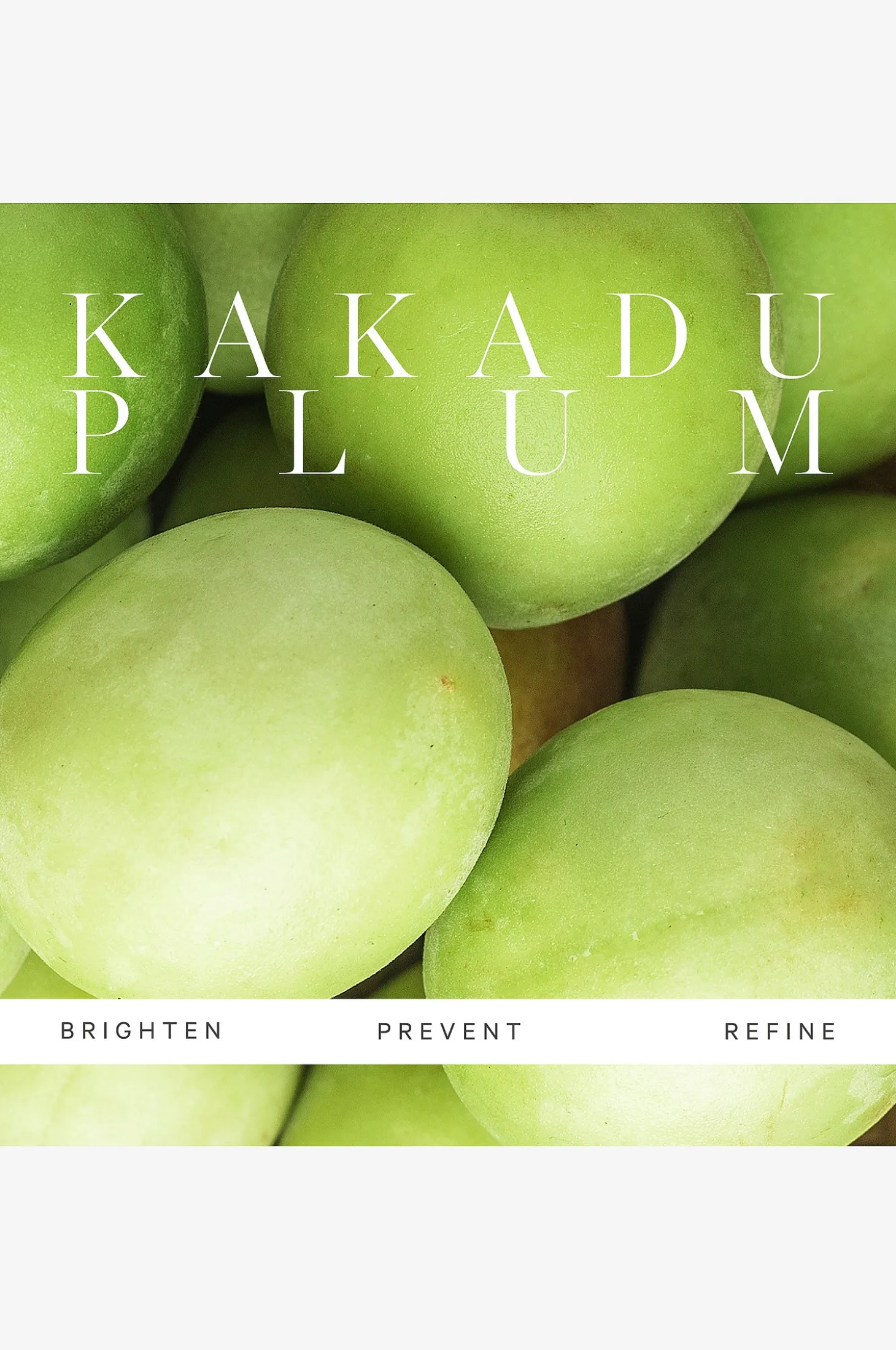 Kakadu Plum Vitamin C Serum