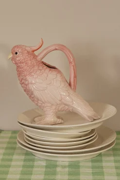 Kannu Parrot
