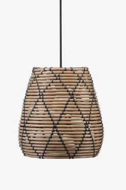 Kattovalaisin Lollo, 28 cm