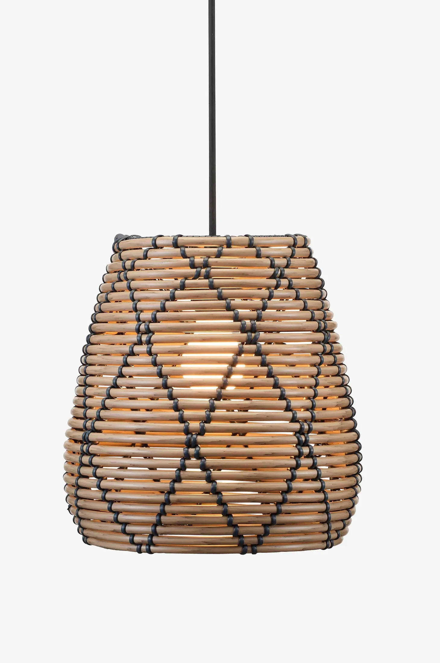 Kattovalaisin Lollo, 28 cm