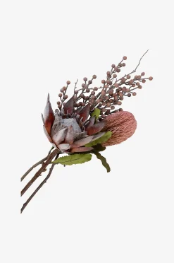 Kimppu King Protea