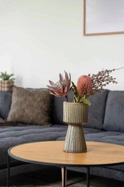 Kimppu King Protea