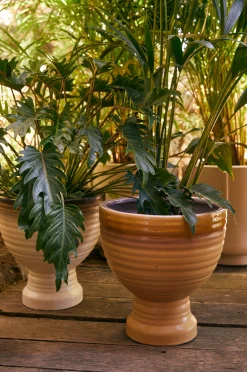 Kivitavaraa Planter