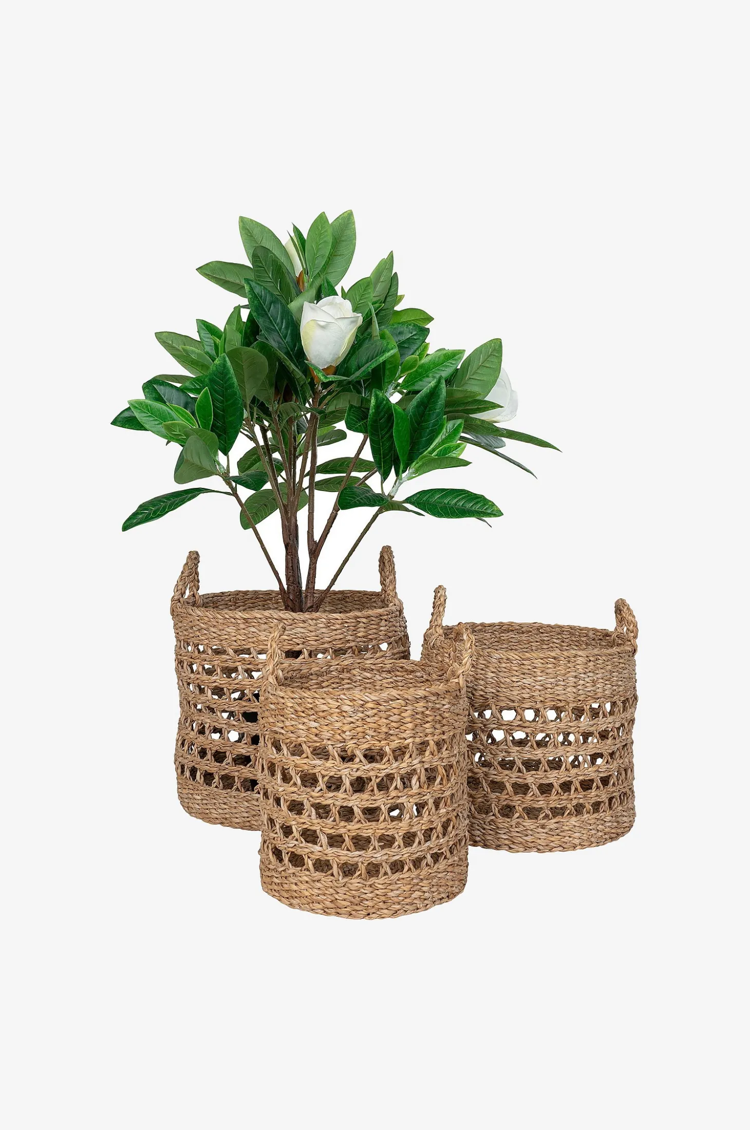 Kori BALOK sarja 3 kpl