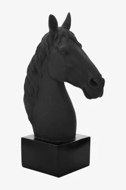 Koriste Jockey