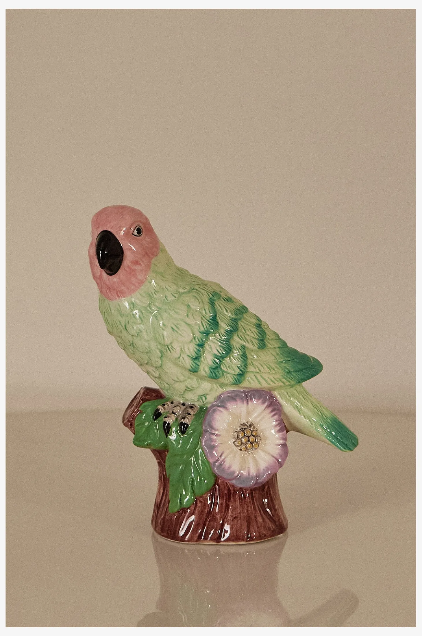 Koriste Parrot