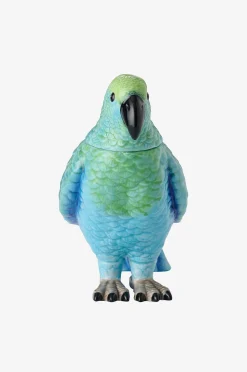 Koriste Parrot Box