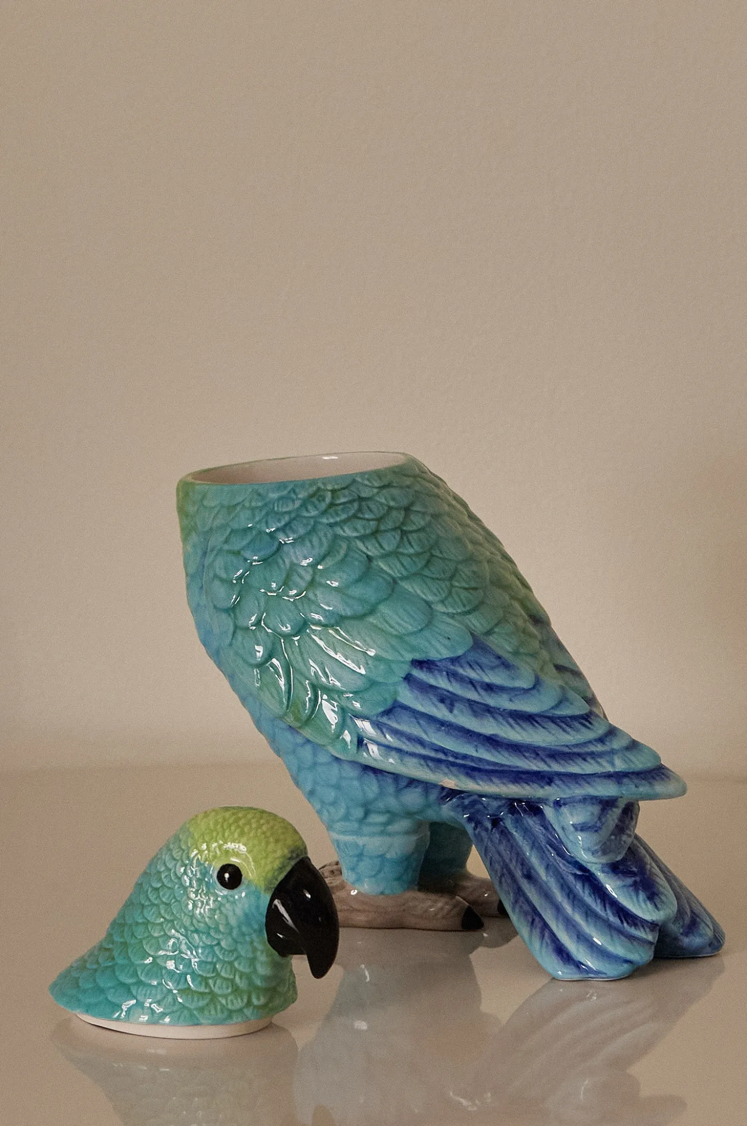 Koriste Parrot Box