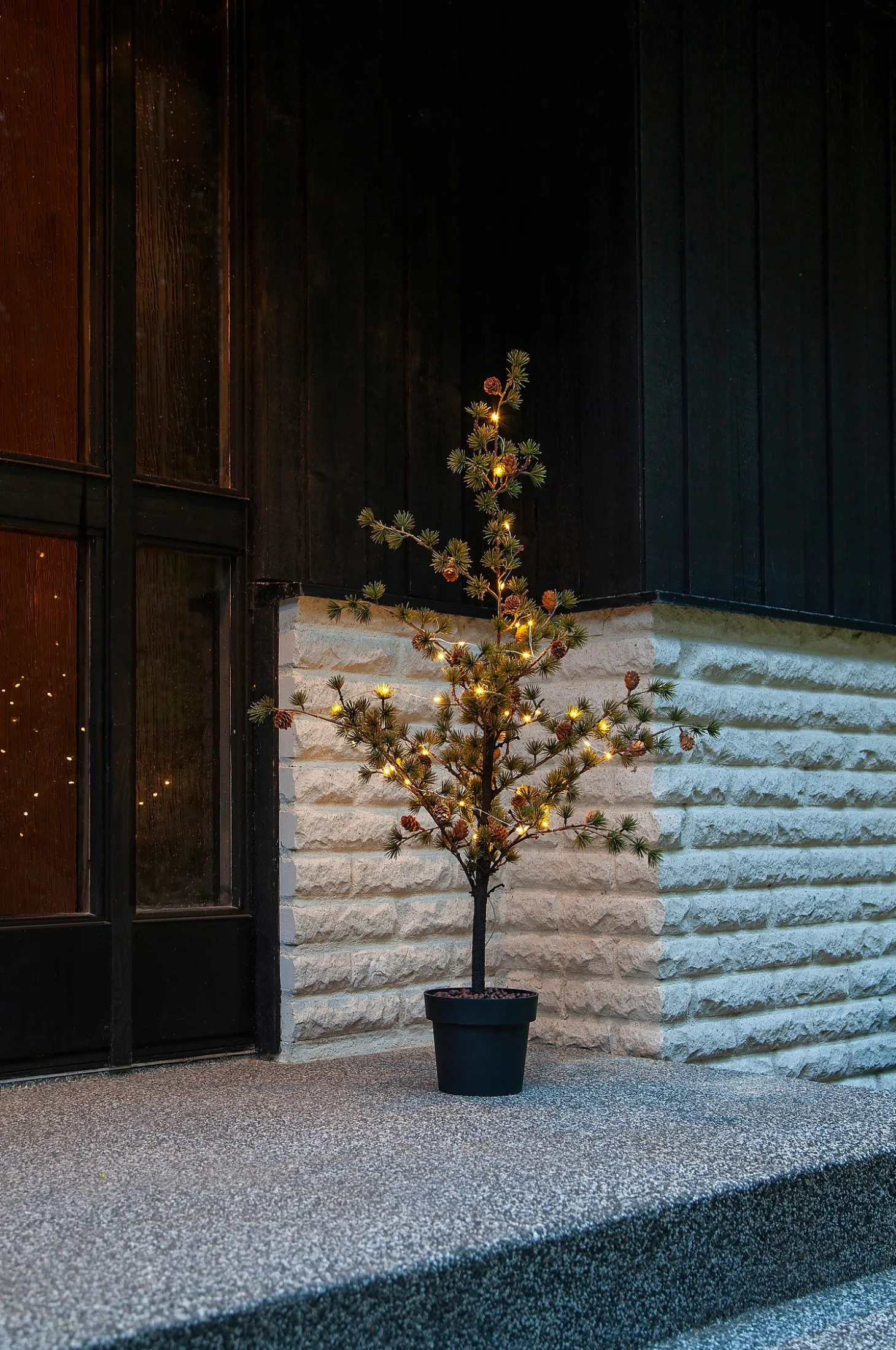 Koristepuu Larix 117 cm