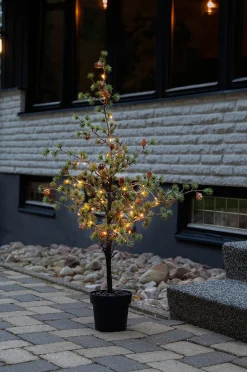 Koristepuu Larix 117 cm