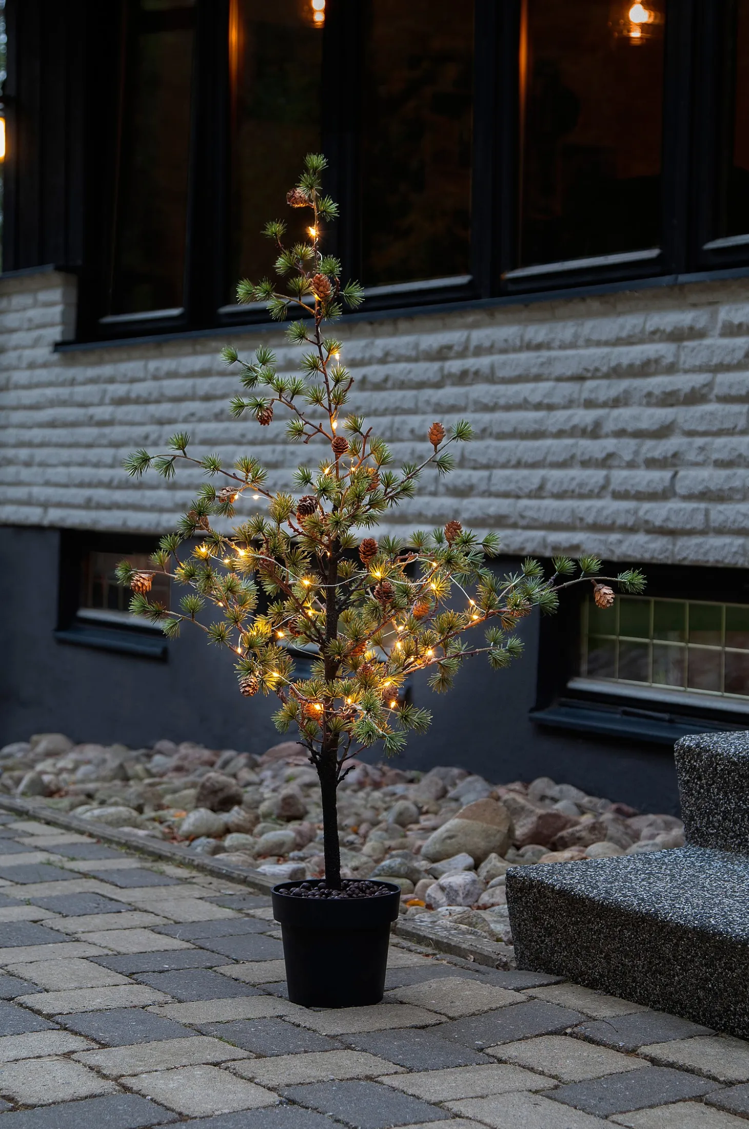 Koristepuu Larix 117 cm
