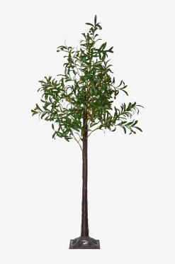 Koristepuu Olivec 180 cm