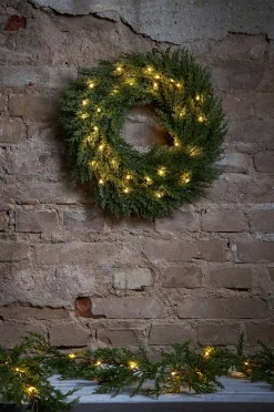 Kranssi Thuja 45 cm