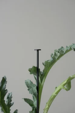 Kukkakeppi 45 cm