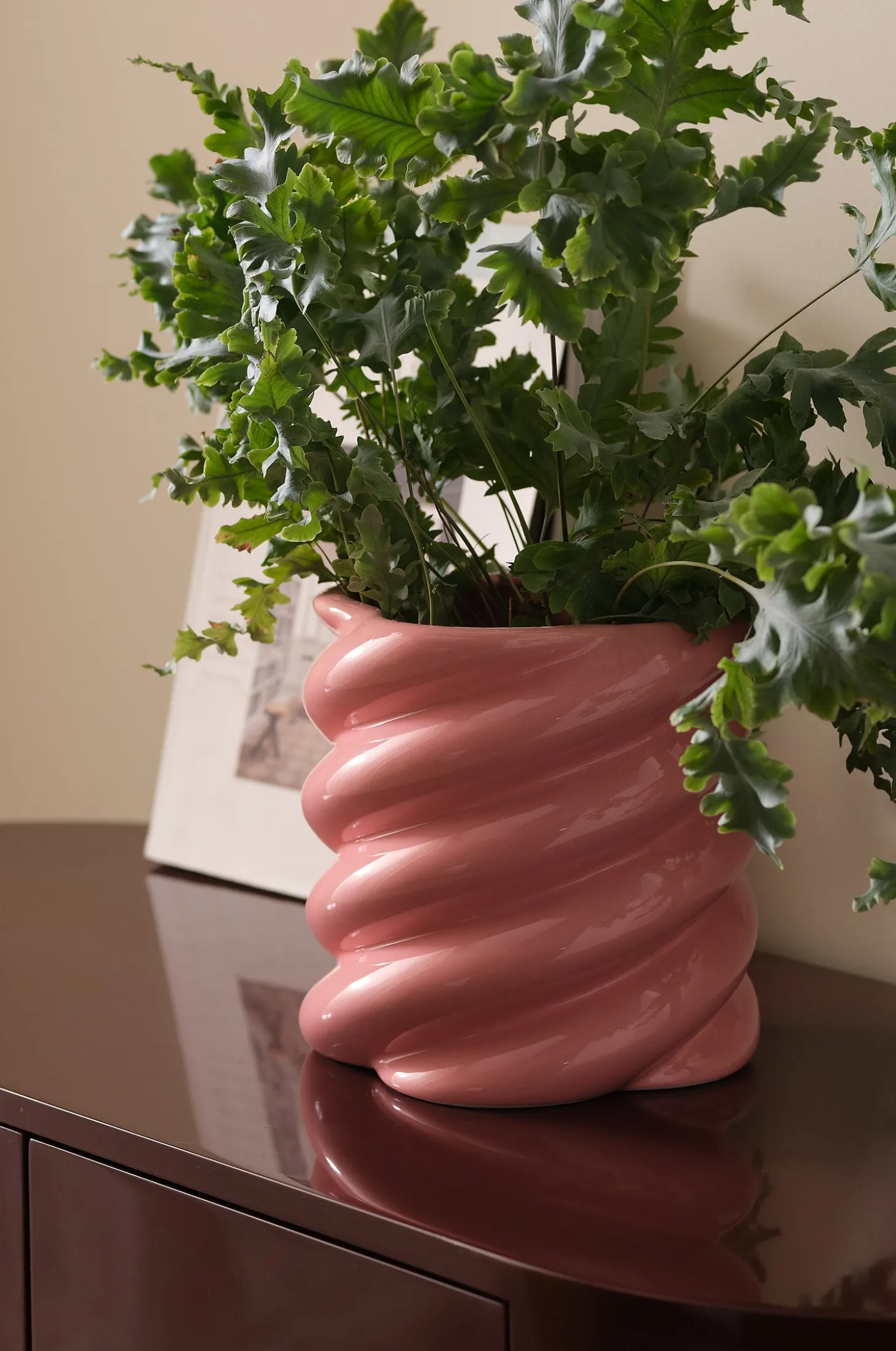 Kukkaruukku Leah korkeus 30 cm