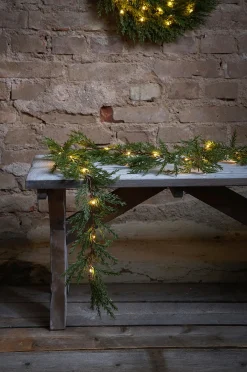 Köynnös Thuja 3 cm