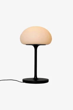 Ladattava valaisin Sponge On A-stick