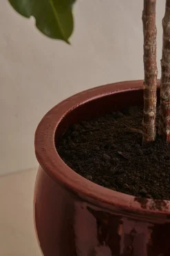 Lattiaruukku Agnes korkeus 43 cm