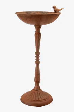 Lintuallas Roya, 49x23 cm