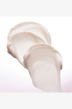 Maple Energy Infusing Cream 60G