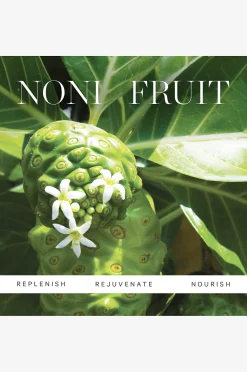 Noni Radiant Eye Treatment Oil 10 ml