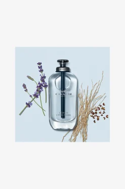 Open Road EdT 40 ml