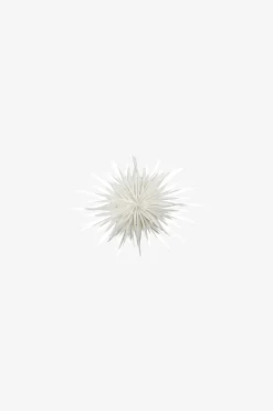 Paperitähti Dust, 40 cm